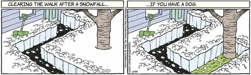 snowshovel