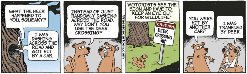 squirrelcrossing