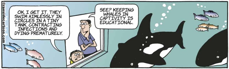 whaleaquarium