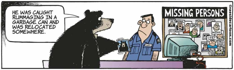 bearmissing
