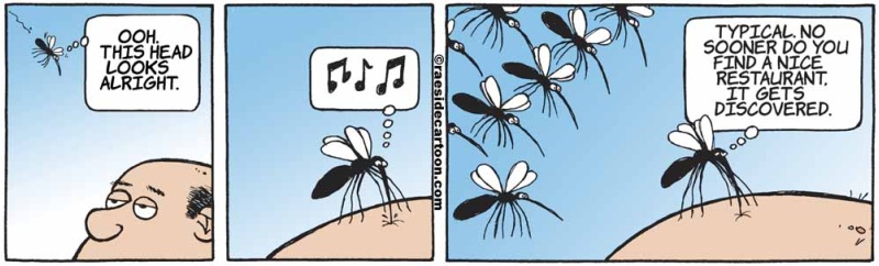 mosquitorestaurant