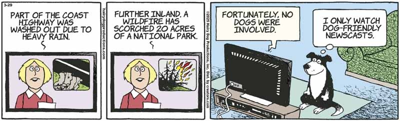 newscasts