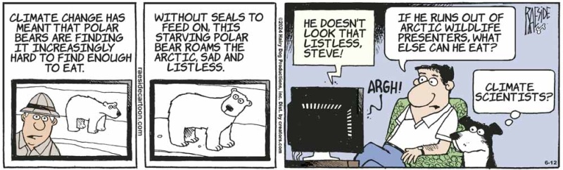 polarbear