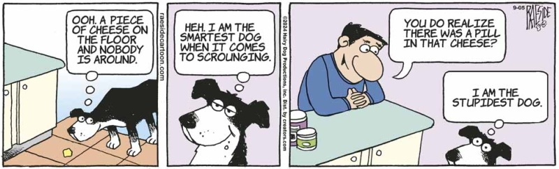 scrounging_pill