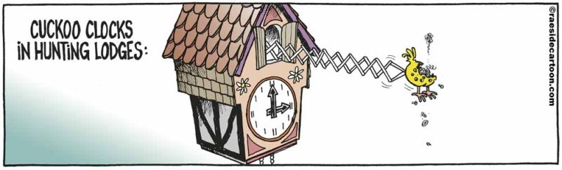 huntercuckoo