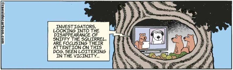squirrelnews