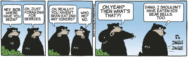 bearhikerbells