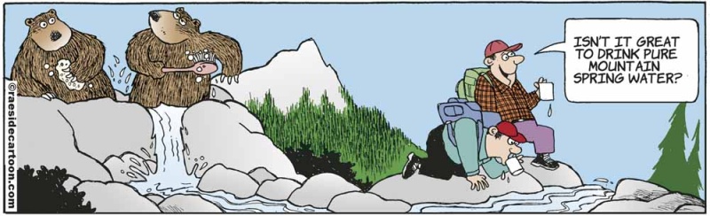 bearsprings