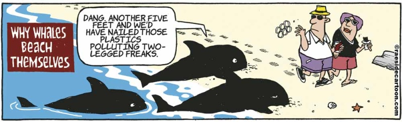 whalepolluters