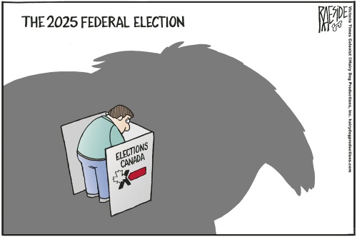 election