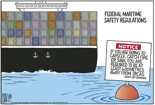 Shipping