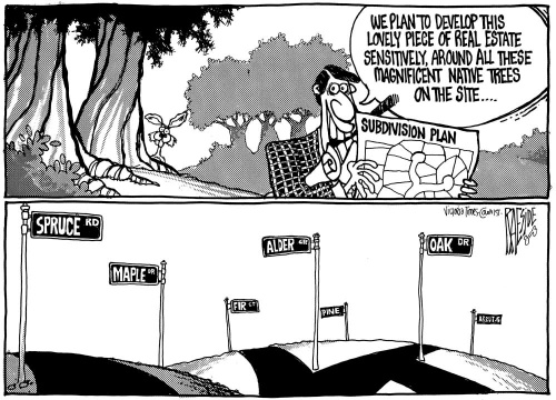 envoronment_subdivisionplan