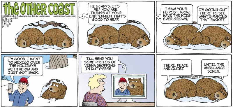bears