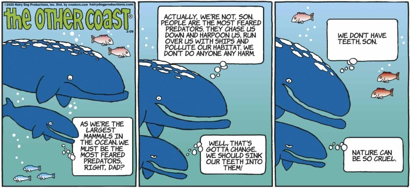 whales_105329880