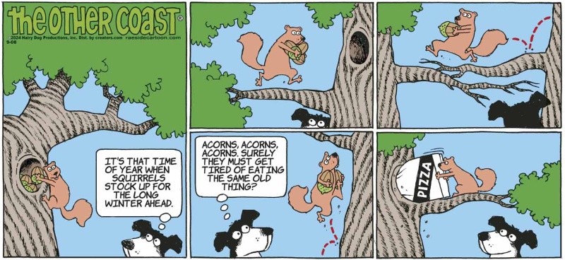 squirrelacorns
