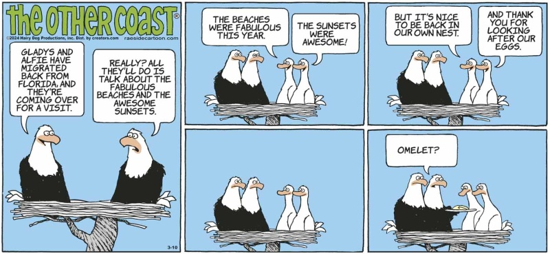eagles
