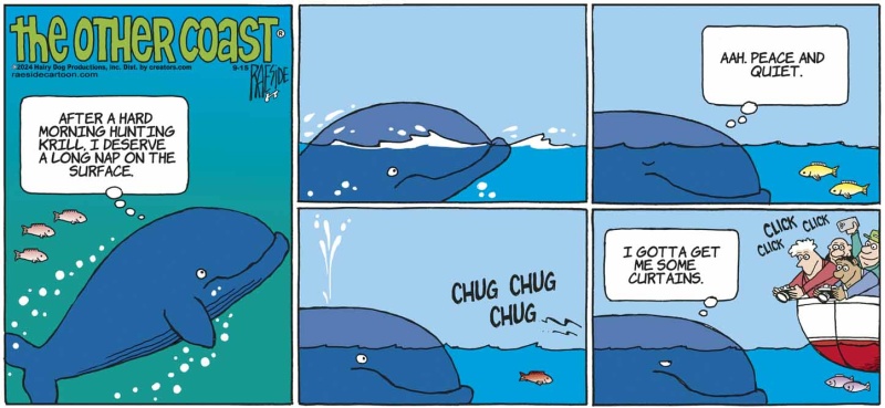 whale