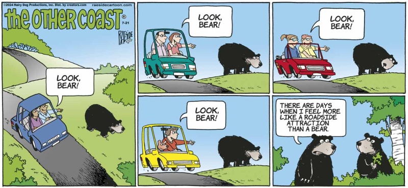bear_1483492094