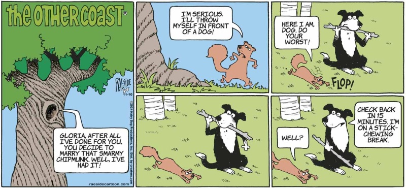 squirrel_copy