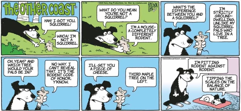 mouse