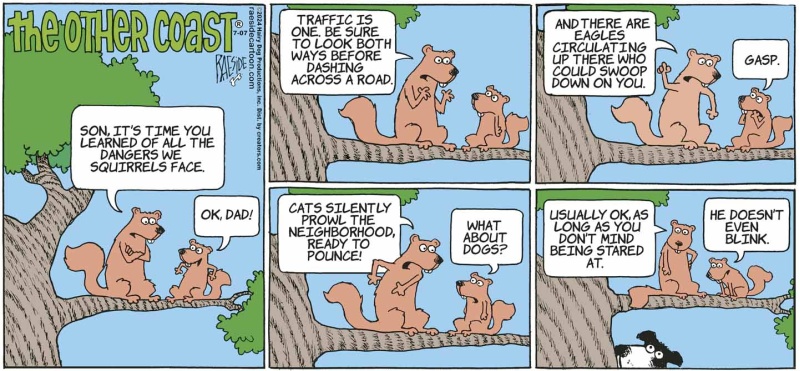 squirrellessons