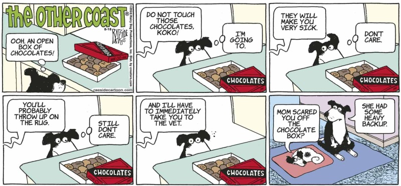 chocolates