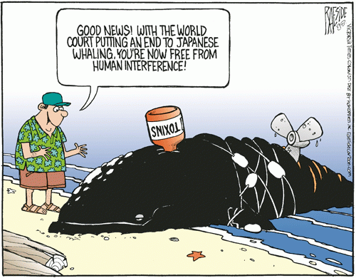 whale_pollution
