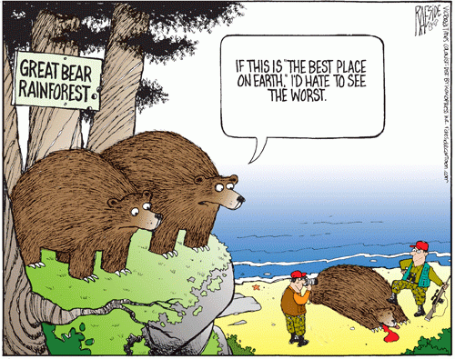 bears_rainforest