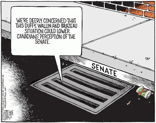senate_drain