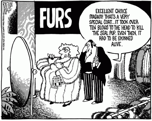 seal_furs