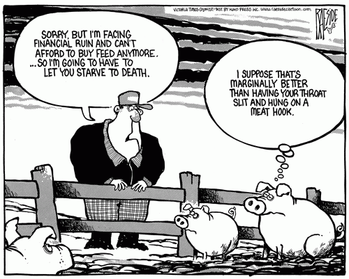 pig_farm